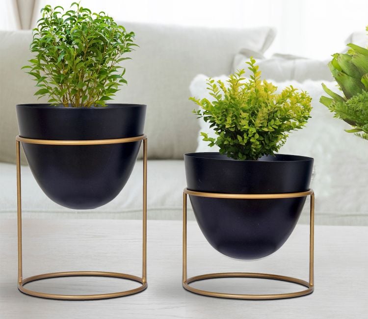 Metal flower pots in Patna | Planters