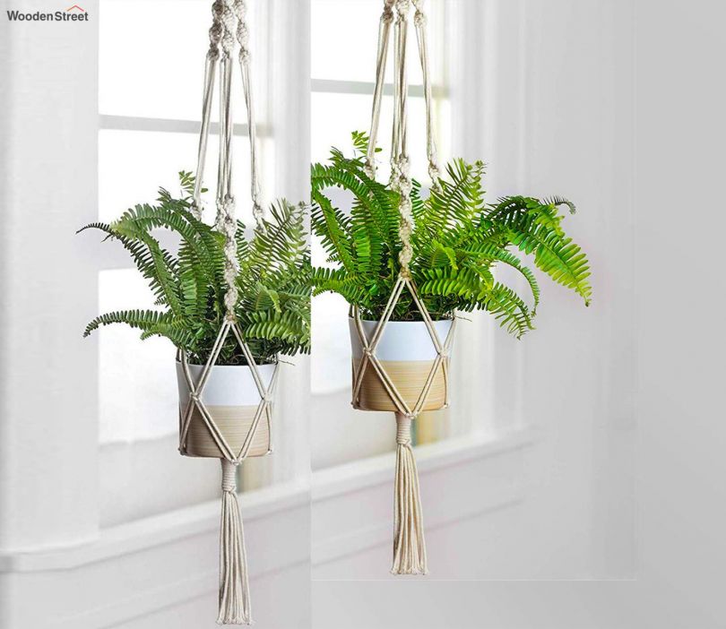 Macrame Cotton Boho Plant Hanger Without Pot