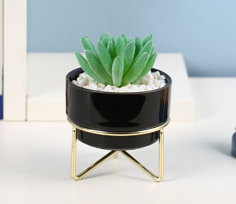 Artificial Green Succulent Plant 12 cm Tall in a Ceramic Pot