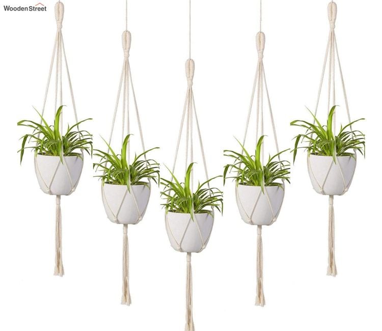 Ultimate Hanging Pots Online in WoodenStreet
