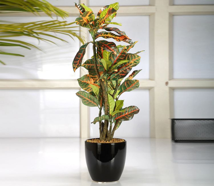 Artificial Trees Buy Artificial Tree Online Upto 55 Off