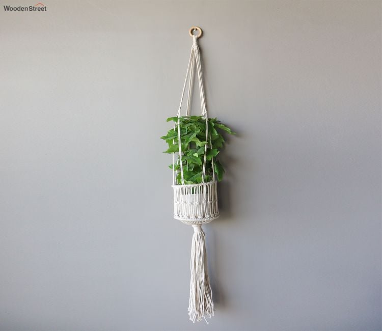 Ultimate Hanging Pots Online in WoodenStreet