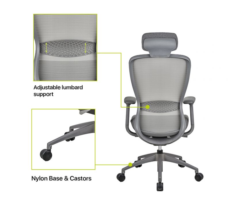 Buy Featherlite Helix High Back Mesh Chair at 21 OFF Online Wooden Street