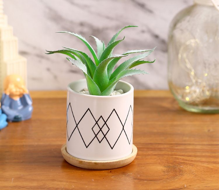 Artistic Artificial Succulent Plant in a Ceramic Pot with Coaster